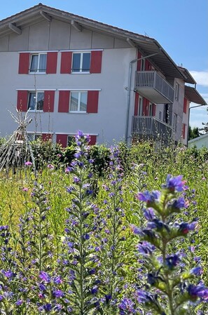 Àrea exterior de l'allotjament