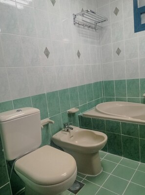 Combined shower/tub, hair dryer, toilet paper