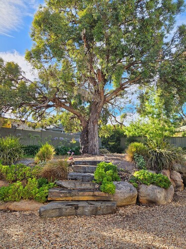 Bassett House Willunga - An entire spacious home on a tree lined street.