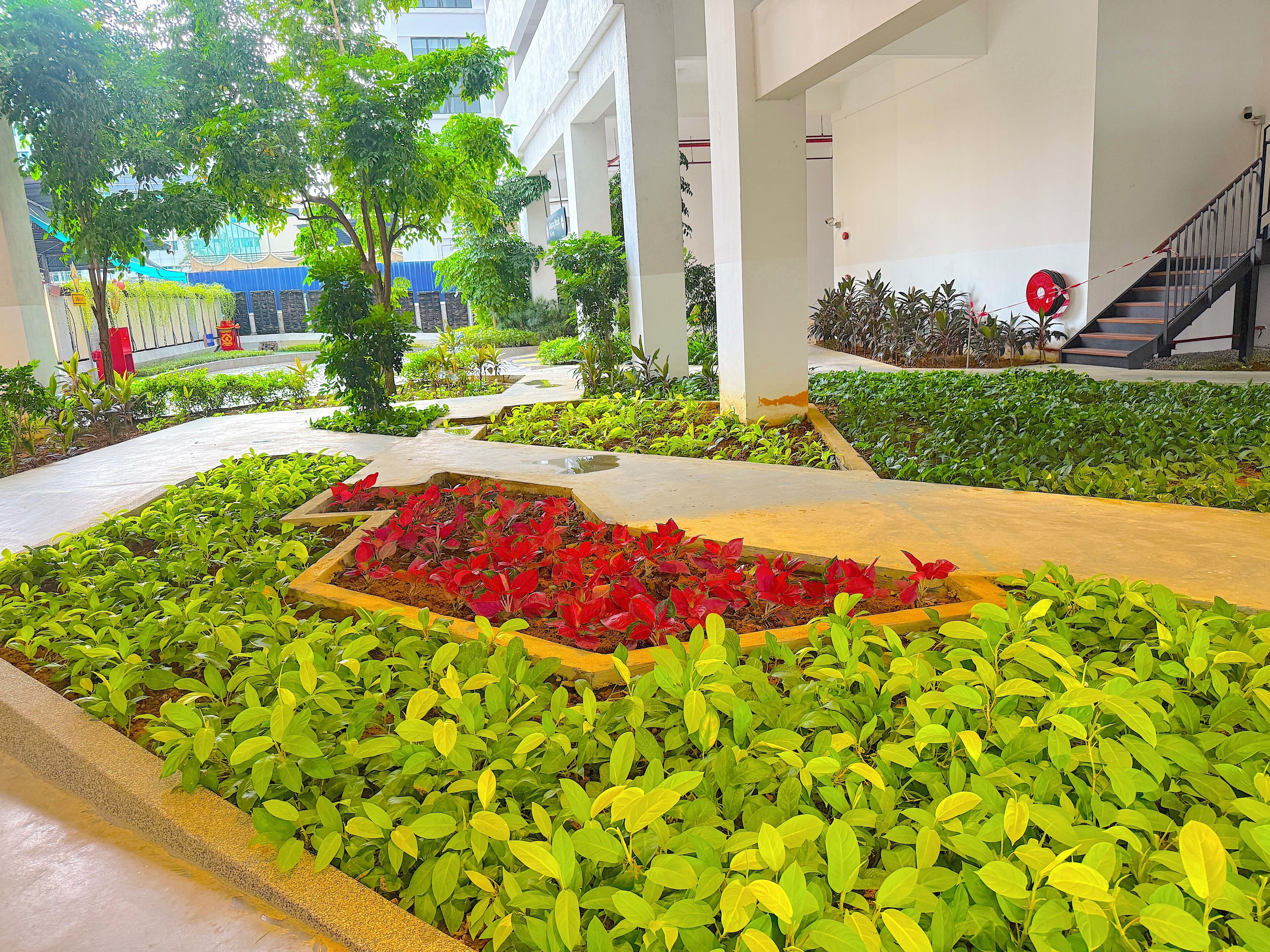 A landscaped courtyard with a variety of plants and a central flower bed.