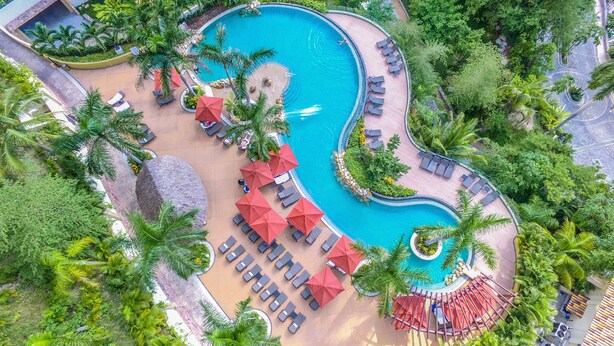Vue aérienne d’un complexe hôtelier doté d’une grande piscine, de chaises longues et de palmiers.