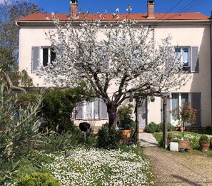 Eksteriør