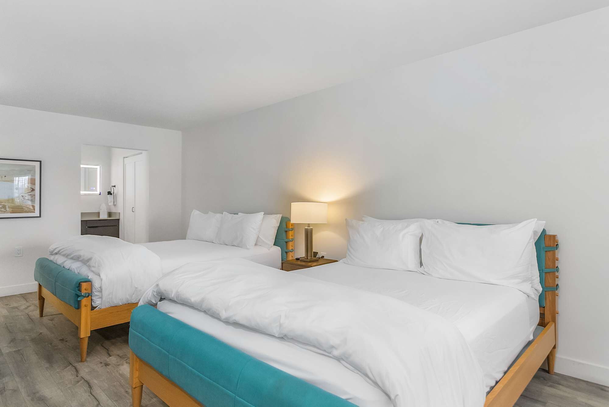 Buckhorn Cholla Suite