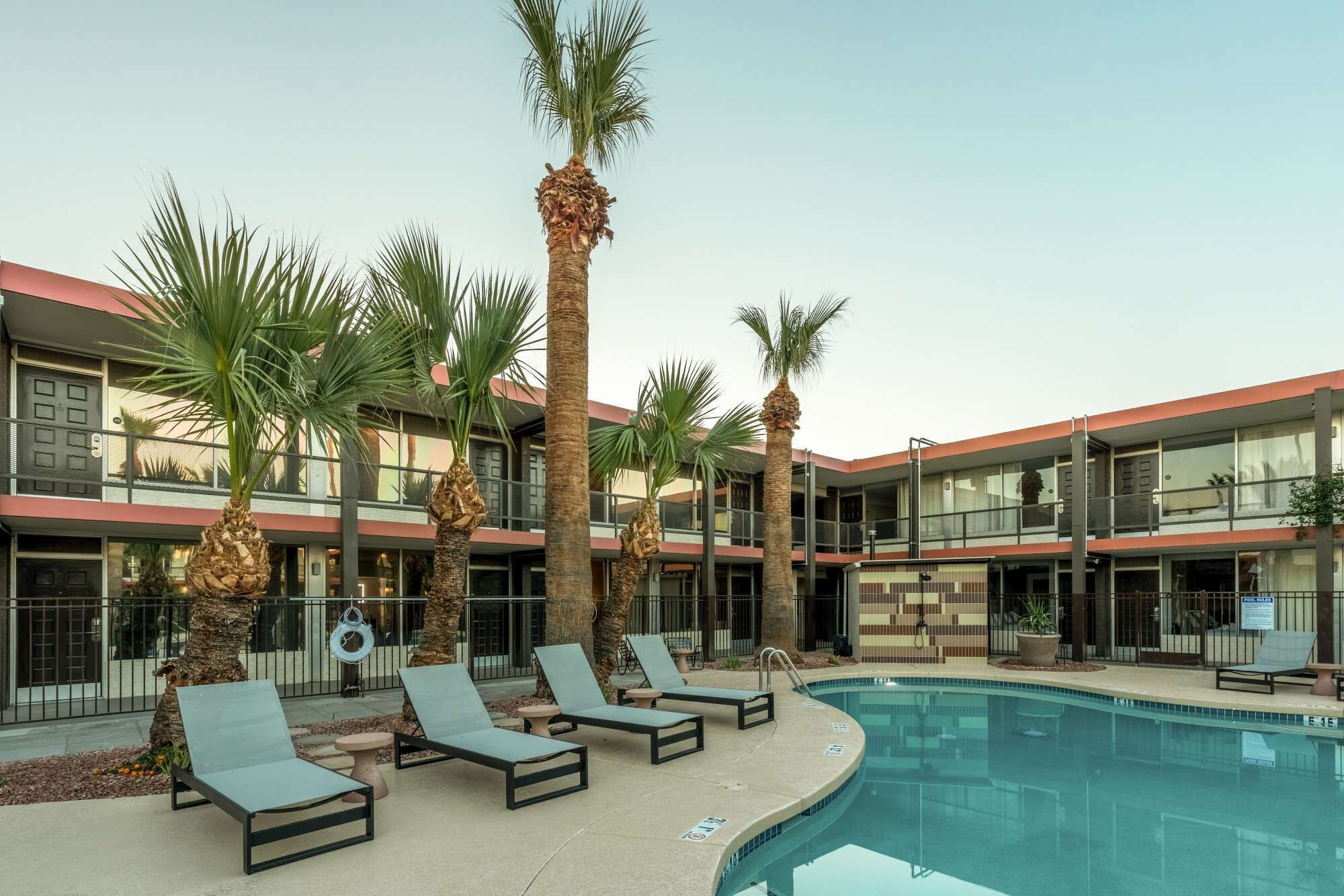 Christmas Cholla Suite