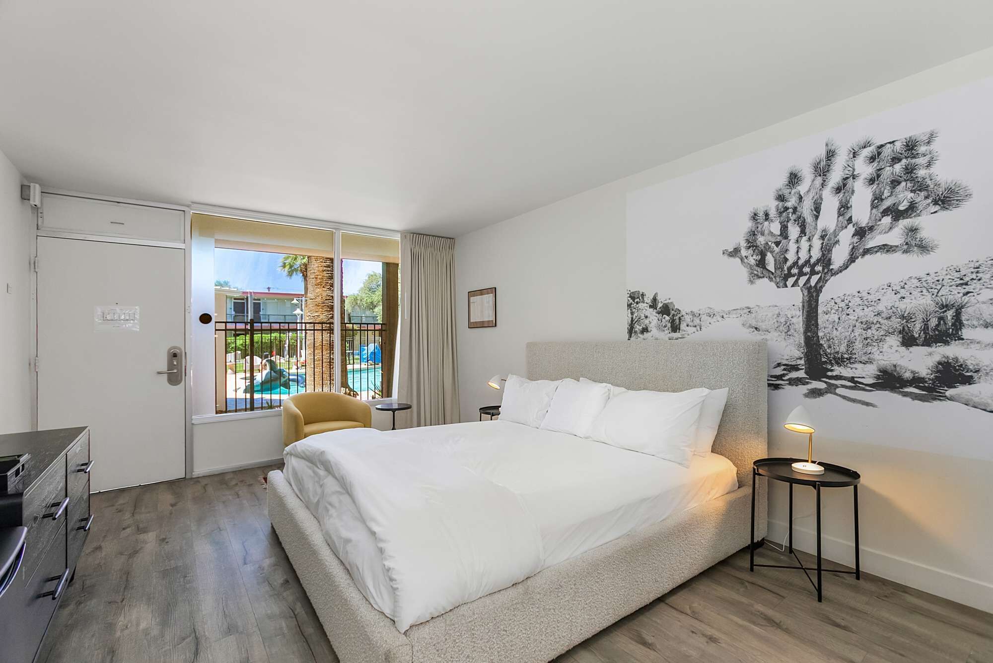 Scarlet Hedgehog Suite