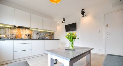 Great Apartment3 Zator -Energylandia, Auschwitz, Cracow. VILLA COASTER Welcome.