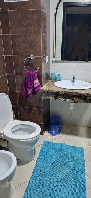 Shower, hair dryer, bidet, towels
