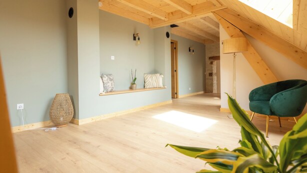 A spacious room with a sloped ceiling, wooden beams, a skylight, a green chair, and a plant. - LE Grenier DU Jean (Sancey)