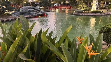 Enceinte de lâhĂ©bergement