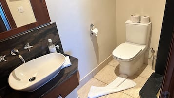 Hair dryer, towels, soap, shampoo
