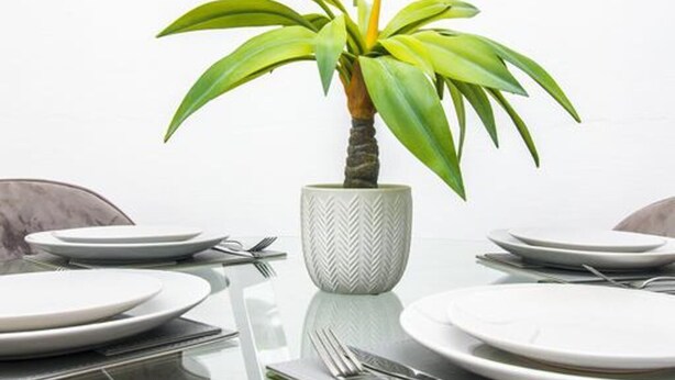 A dining table with white plates, cutlery, and a potted plant in the center. - Stunning 1-bed Apartment in Birmingham (Birmingham)