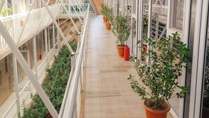 Un pasillo con plantas en macetas, barandillas blancas y ventanas amplias.