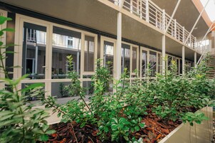 Vista desde la habitación