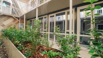 Habitación estándar con 2 camas individuales | Vistas desde la habitación