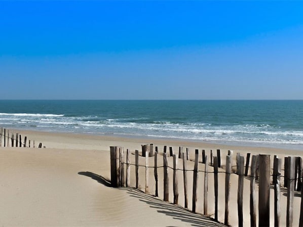 On the beach