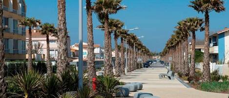 Àrea exterior de l'allotjament