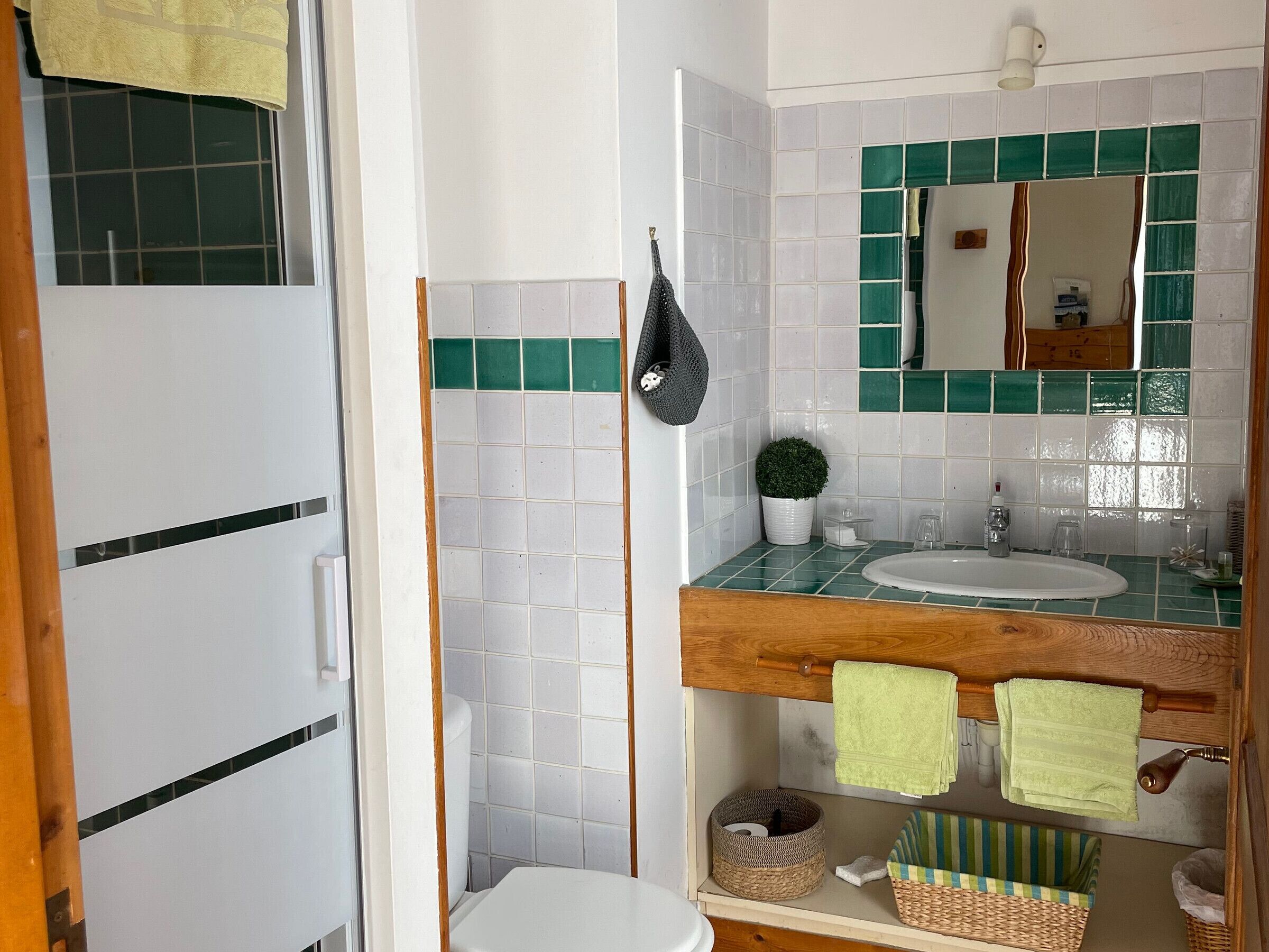Une salle de bain avec des toilettes blanches, un lavabo surmonté d’un miroir et un mur recouvert de carreaux verts. Deux serviettes sont accrochées au mur et une petite plante en pot est posée sur le comptoir.