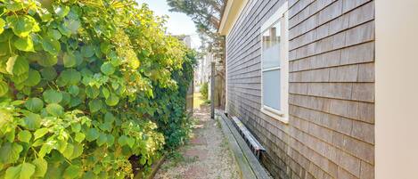 Un sendero estrecho bordeado por exuberante follaje verde y una casa de madera con ventana.