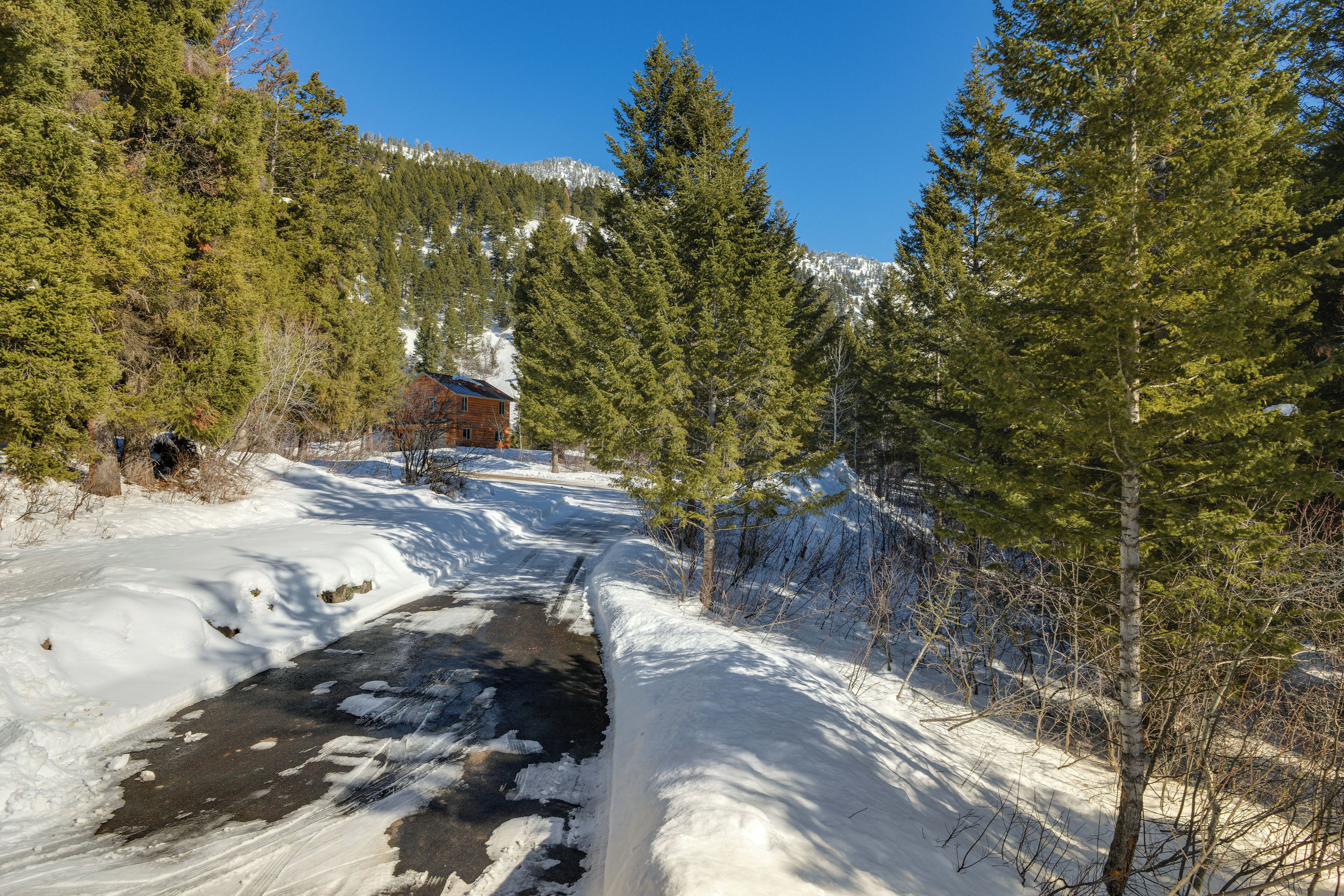 Schneebedeckte Landschaft mit einem Bach, Bäumen und einer Hütte im Hintergrund.