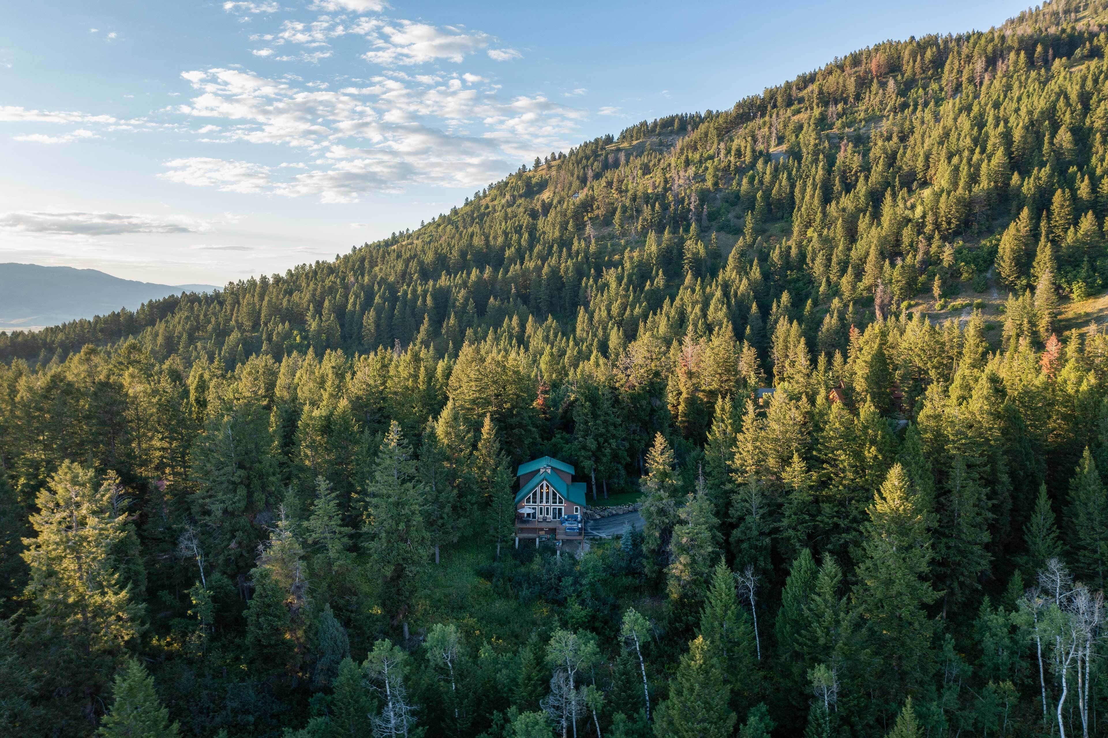 Una cabaña rodeada de un bosque denso, con un techo verde llamativo y numerosas ventanas.