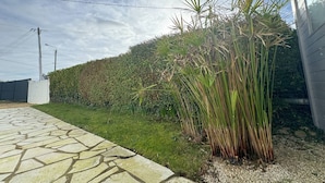 A paved pathway leading to a building, surrounded by a well-maintained hedge and tall grasses. - Seaside House with WIFI, Veranda, and Parking – 320m from the Beach in Trégastel (Trégastel)