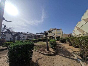 Residential area with well-maintained hedges and a gravel path.
