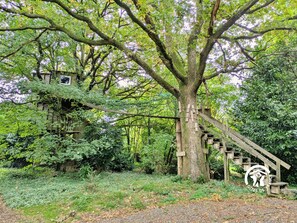 Una casa en un árbol con una escalera de madera que conduce a ella, rodeada de abundante vegetación.