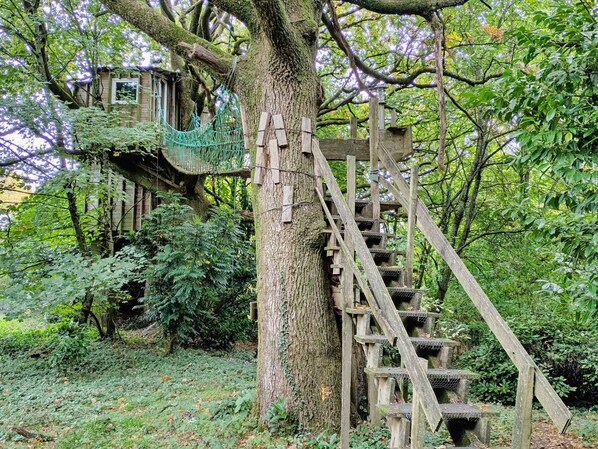 Una escalera de madera que asciende por el tronco de un árbol, rodeada de follaje denso y una construcción rústica de madera.