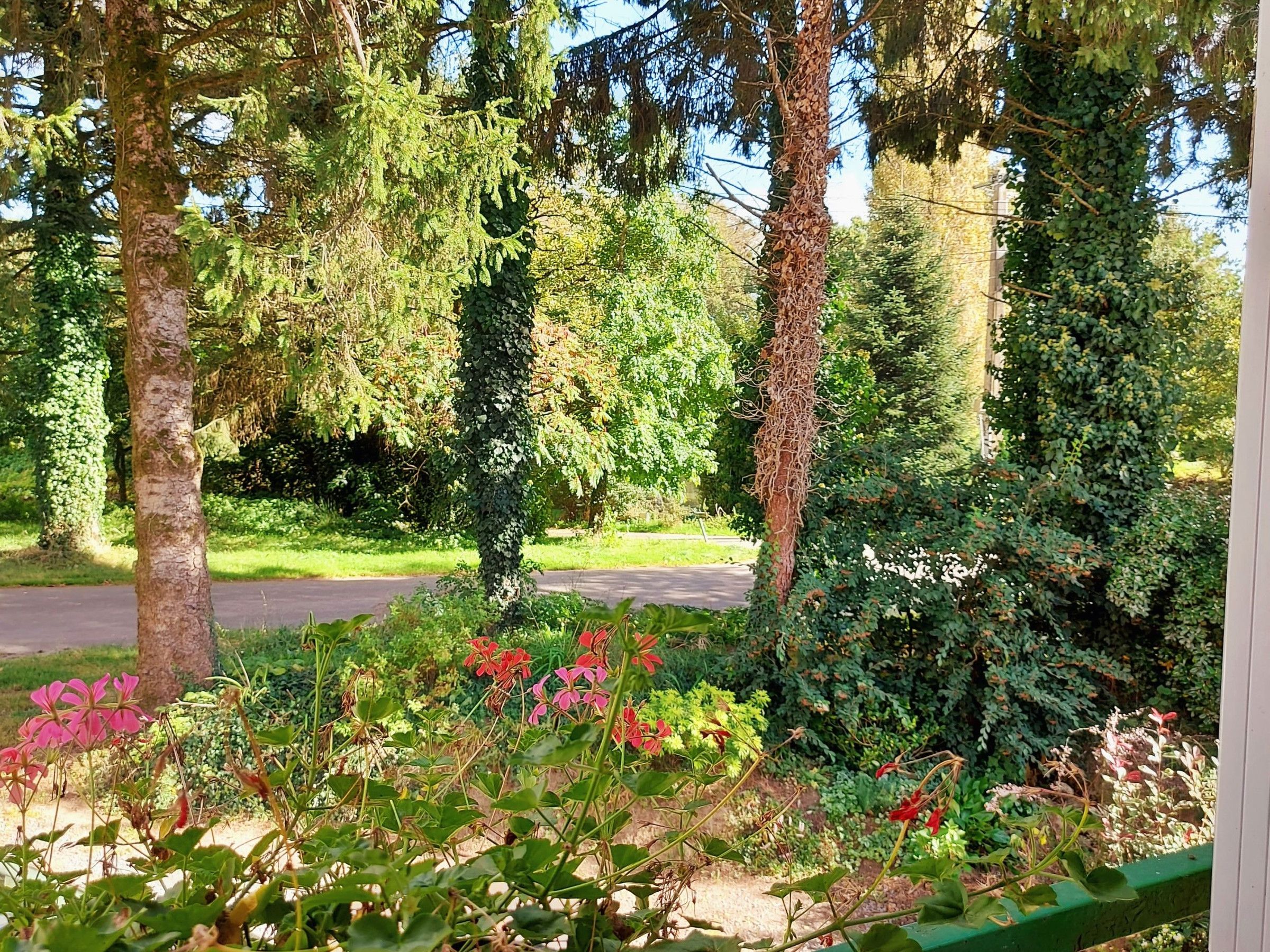 A garden with trees and flowering plants.