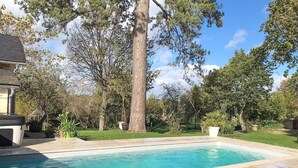 Una piscina rectangular con un borde de baldosas, rodeada de césped y árboles.