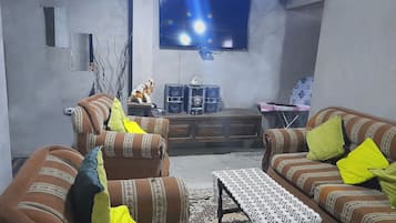 電視