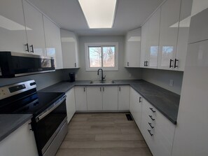 Private kitchen - Beautiful, private house, 4 beds (Odessa)