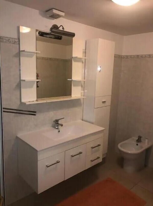 Shower, bidet, towels, toilet paper