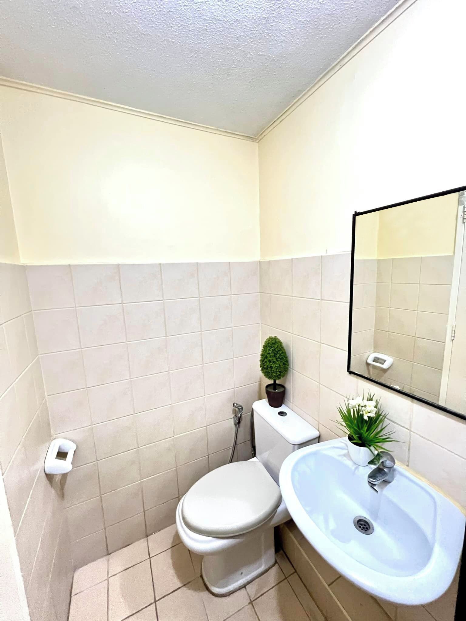 A small bathroom with a toilet, sink, and a small potted plant.