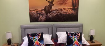 Taigh Sealladh Fèidh B&B