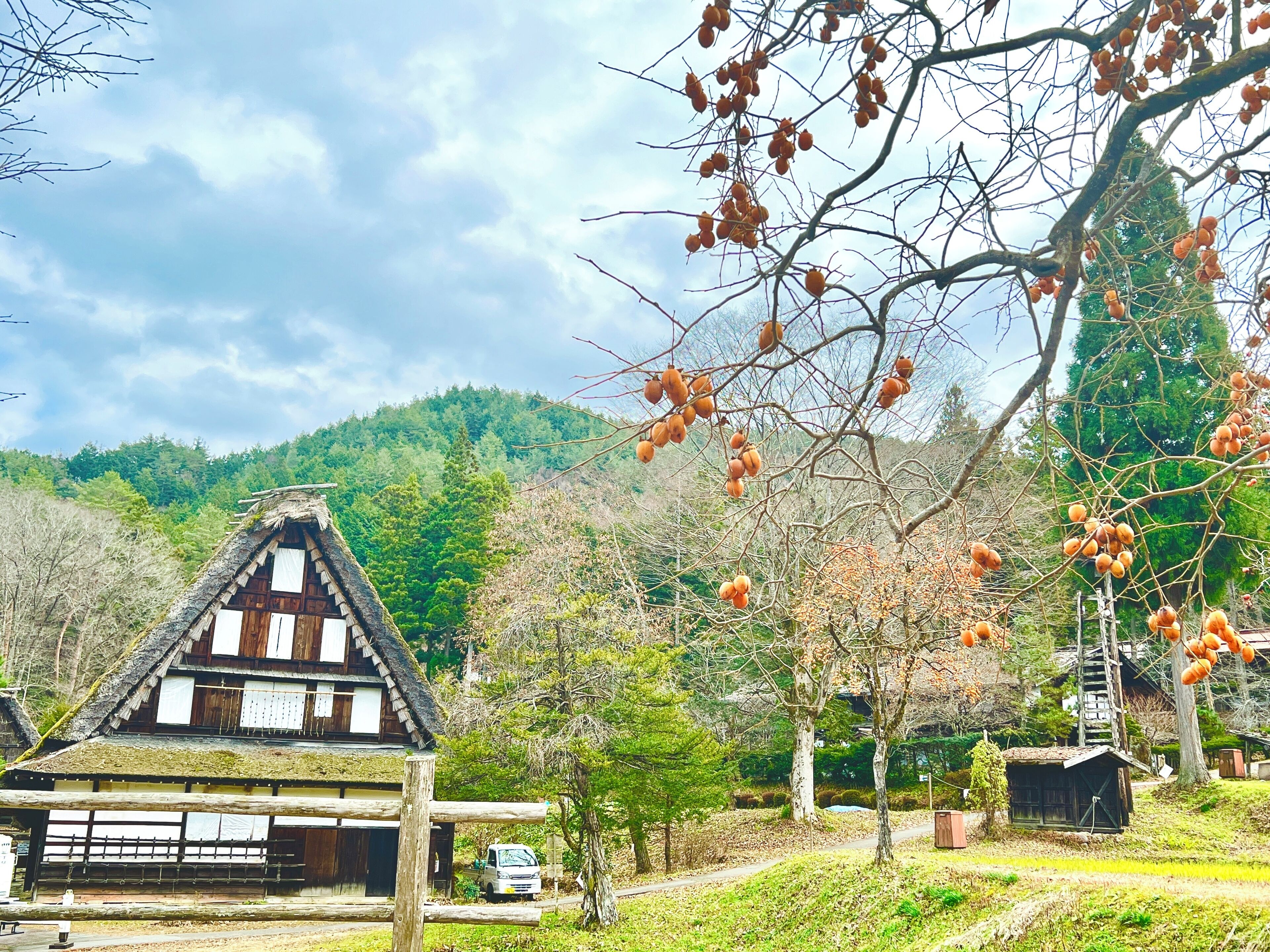 Photo - Hostel Murasaki