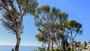 Property grounds - Bienvenido in der Villa Los Pinos (Velilla-Taramay)