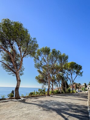 Property grounds - Bienvenido in der Villa Los Pinos (Velilla-Taramay)