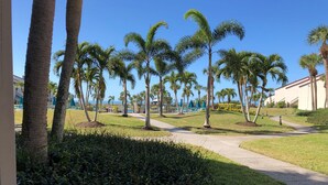 A well-maintained outdoor area with palm trees, a pathway, and a pool area. - Beautiful Beachfront 1st Floor condo (Sarasota)