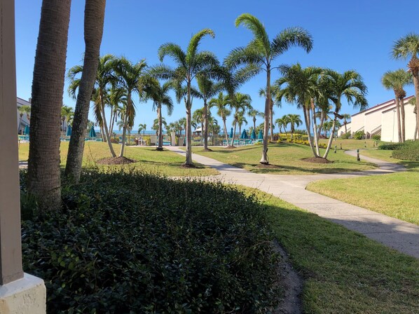 Property grounds - Beautiful Beachfront 1st Floor condo (Sarasota)