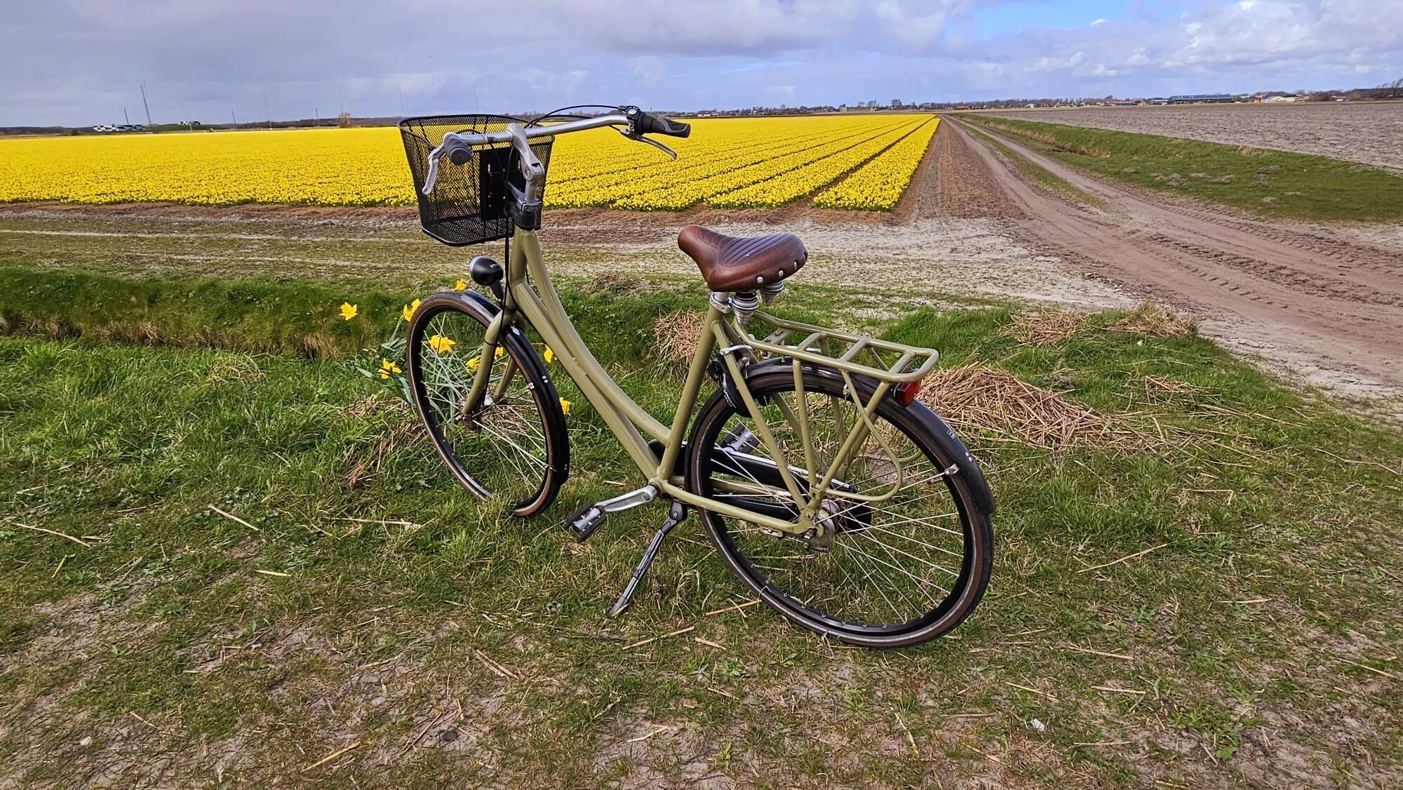 Blumenfelder
