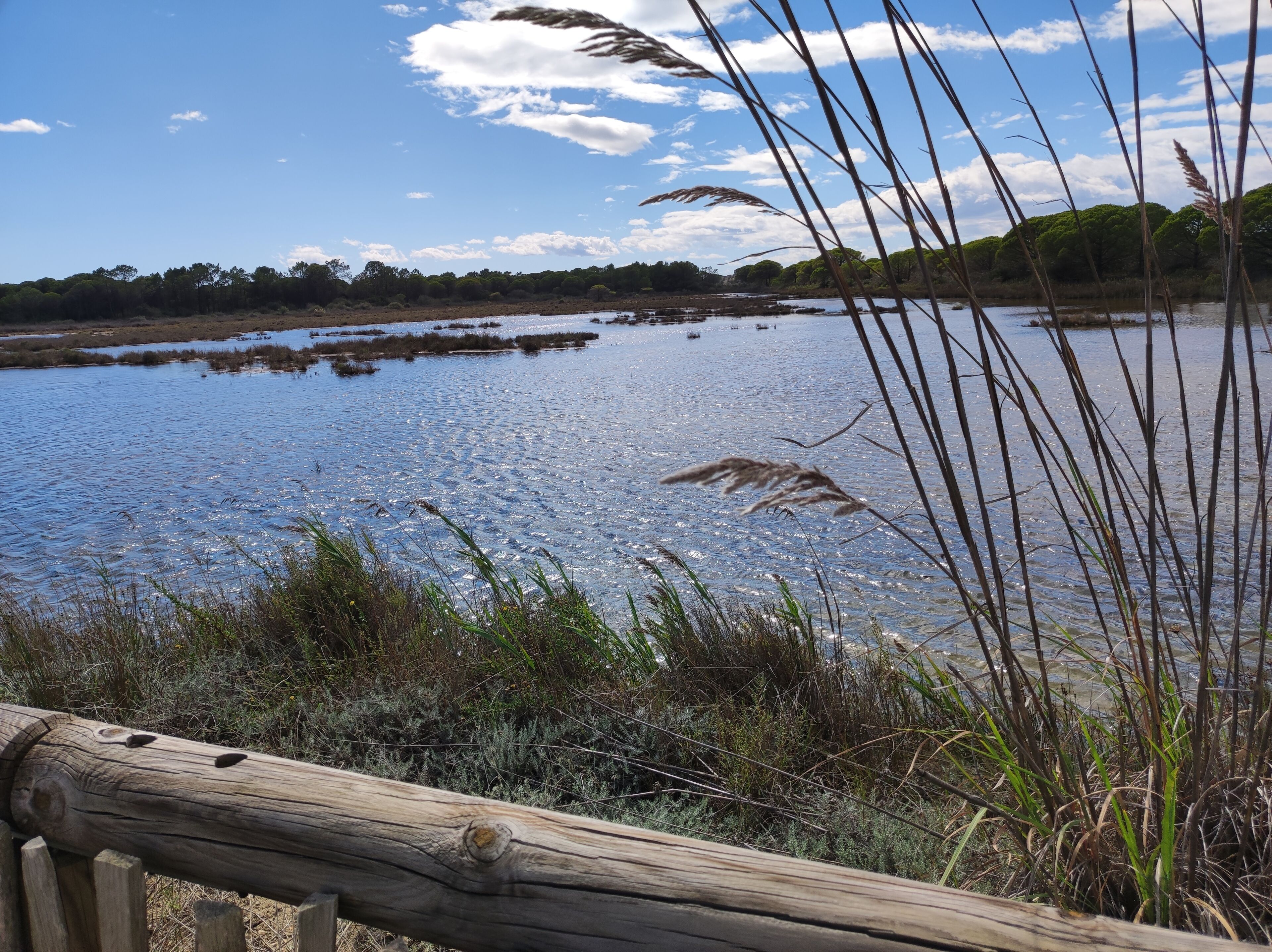 A wooden fence with a natural landscape in the background.