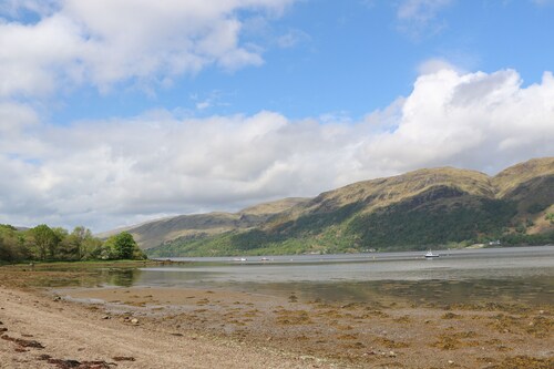 The Cottage In The Woods