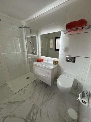 Shower, hair dryer, towels, soap