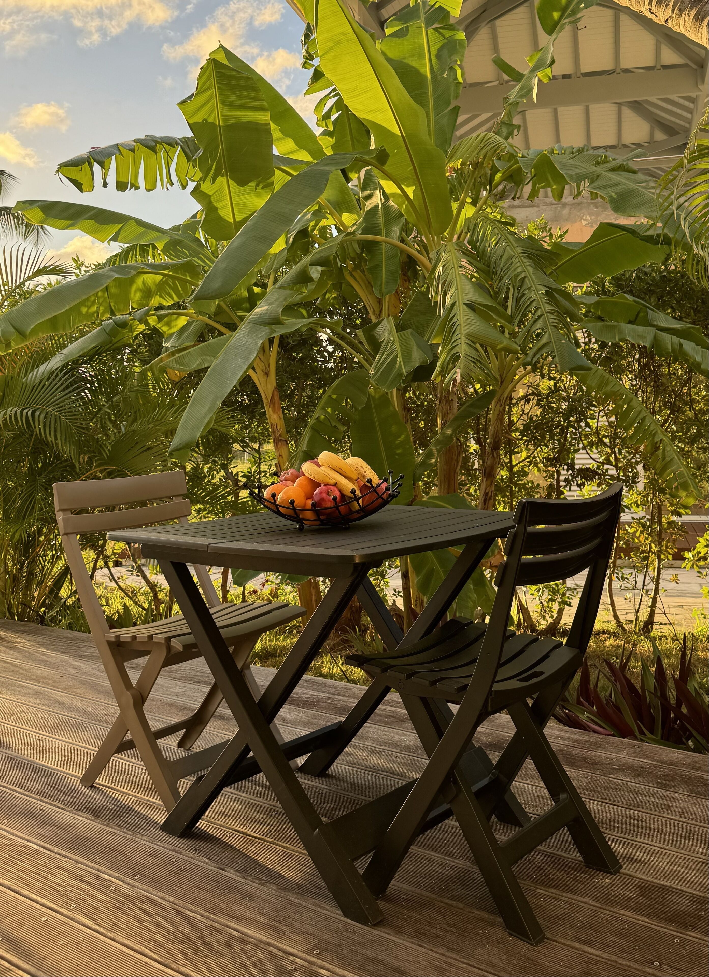Une table d’extérieur avec un panier de fruits, entourée d’une végétation luxuriante et avec un bâtiment en arrière-plan.