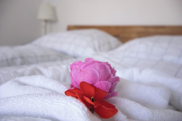 3 chambres, Wi-Fi, draps fournis