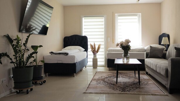 Una sala de estar moderna con cama, sofá y una mesa de centro, que incluye un espejo grande, plantas en macetas y un jarrón con flores.