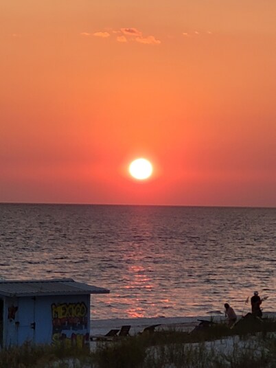 Cozy Beach Cottage! Dog Friendly!  Monthly discount Fall/Winter + Golf Cart!