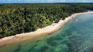 Ett flygbildsbild av en strand med tät, tropisk vegetation på ena sidan och klart, turkosfärgat vatten på den andra.