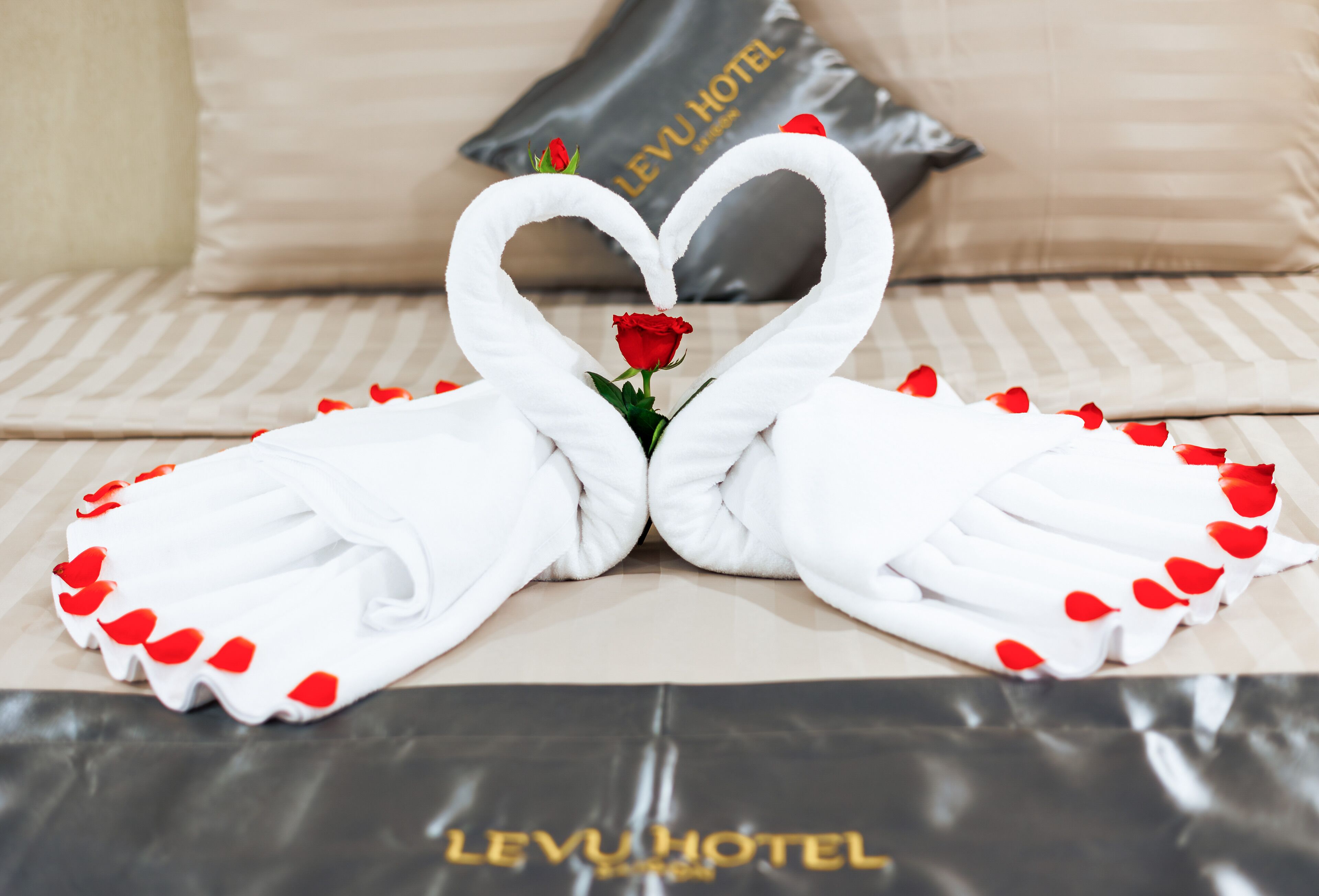 Foto - Le Vu Hotel